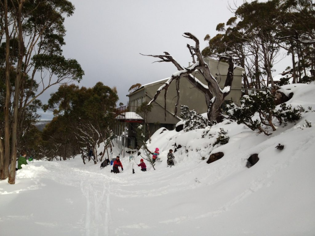 mawson hut