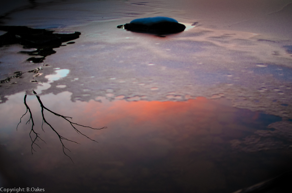 image of Lake Dobson ice and reflections at sunset