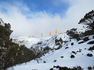 image of the Overview of the Mount Mawson cornice