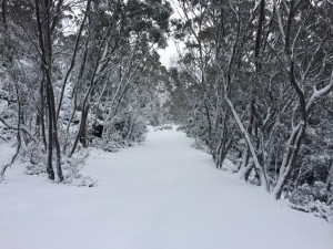 Jeep Trail to Mt Mawson, first day of Winter 2015