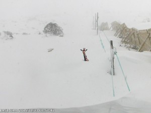 Snow cam image