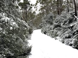 Jeep Trail